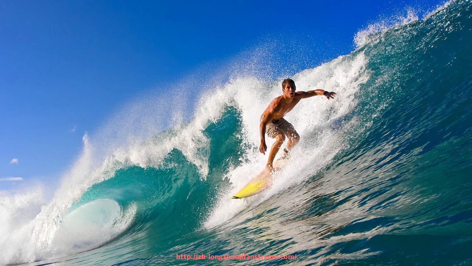 龙珠直播-家用健身器材俯卧撑支架与训练建议